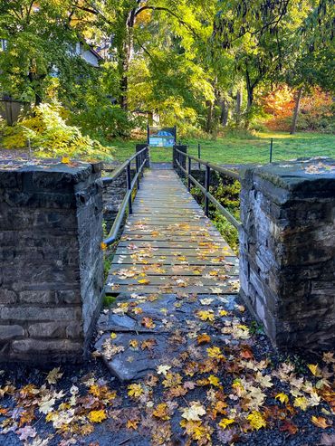 A wooden footbridge covered with autumn leaves in a green park.