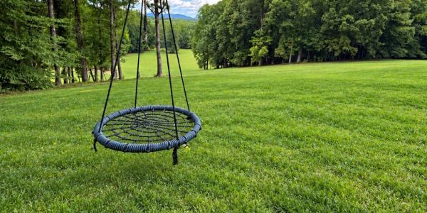 A round swing hanging over a large green lawn.