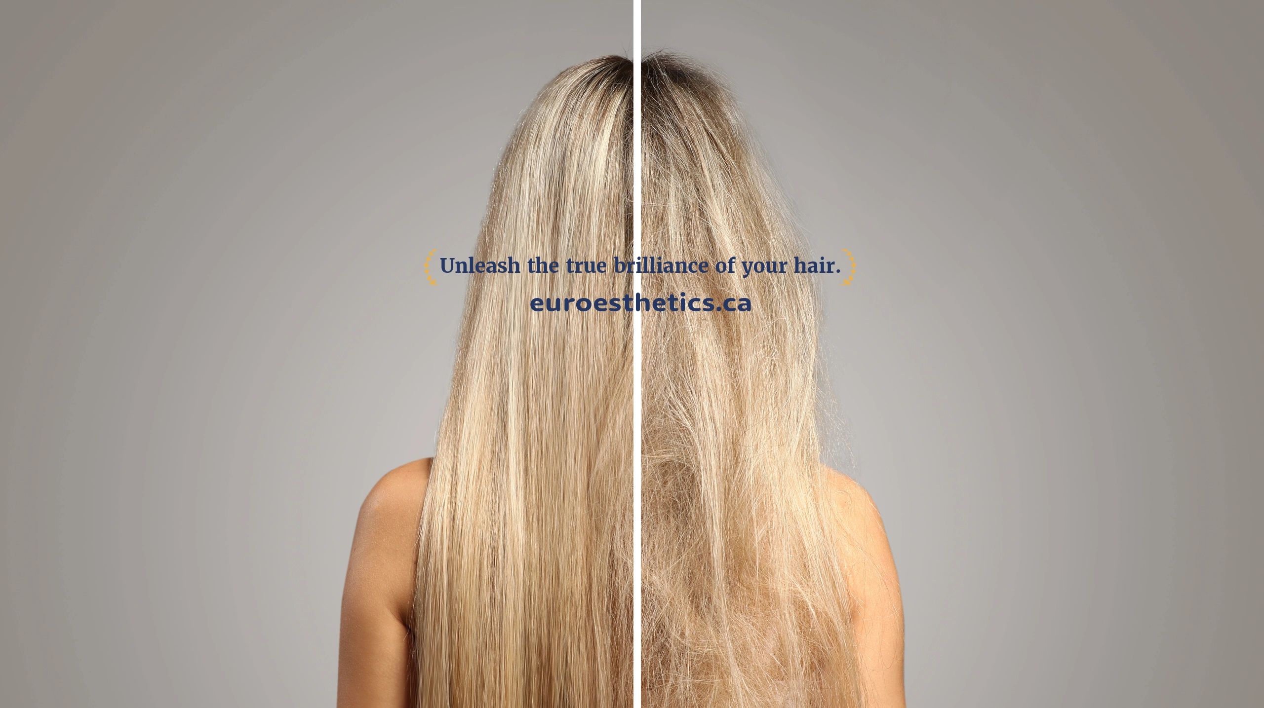 Best Hair Salon Calgary, Beauty Salon, Hair and Beauty European