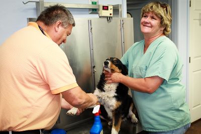 Veterinary In Gravette Cvaccpets Cvaccpets