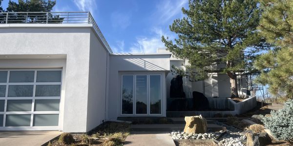 Modern white house with large windows and surrounding pine trees.