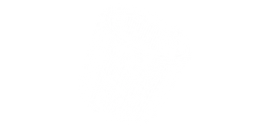 A white cylindrical basket with holes, tilted sideways on a black background.