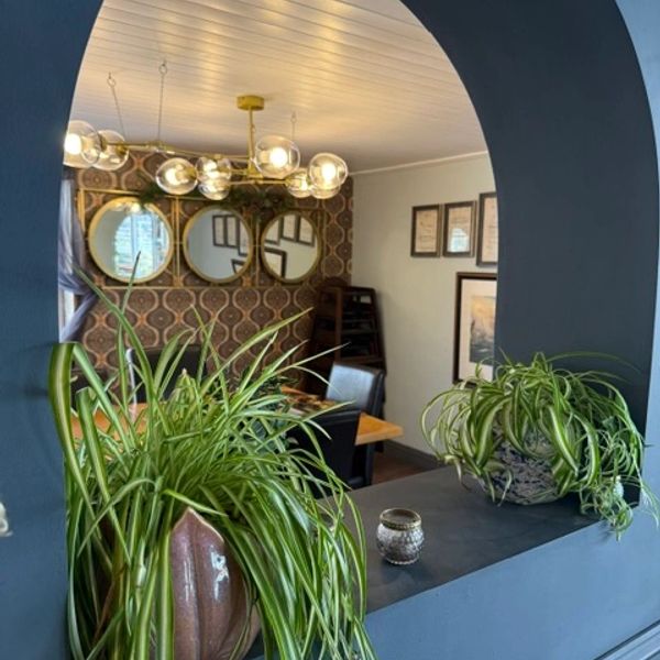 Indoor space with plants and round mirrors.