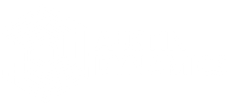 Austin Dynamics
