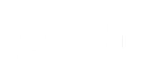 Austin Dynamics