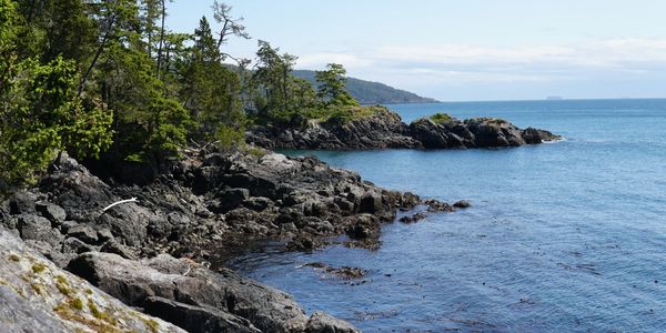Rocky coastline with lush green trees meeting calm blue ocean under clear sky.