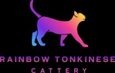              Rainbow Tonkinese Cattery        