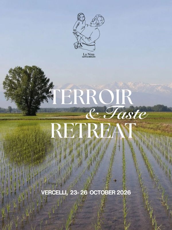 Rice field landscape promoting Terroir &amp; Taste Retreat in Vercelli, October 2026.