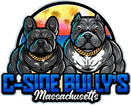 C-Side Bullys