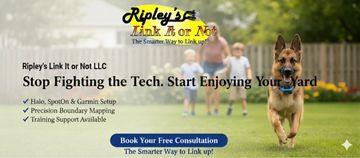 Dog running joyfully in a backyard with family in the background.