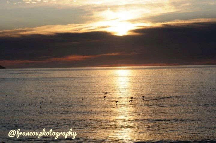 ExcellenceZen_Photo_Gaspésie_FleuveSoleilCouchant_FranceTardif.png
@francouphotography
