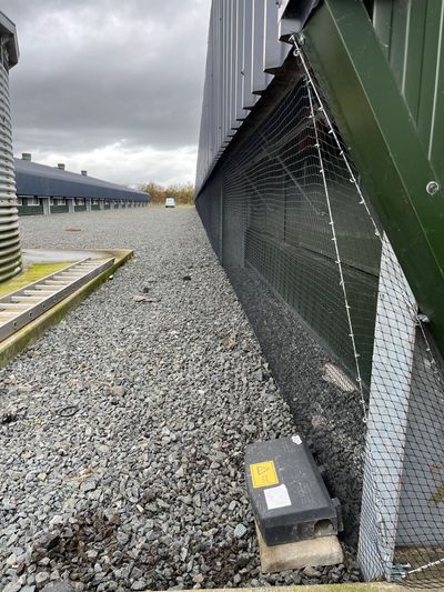 Bird proof netting fitted  to a poultry house to reduce the risk of avian influenza.