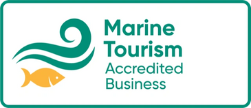 Logo for a Marine Tourism Accredited Business with a fish and wave design.