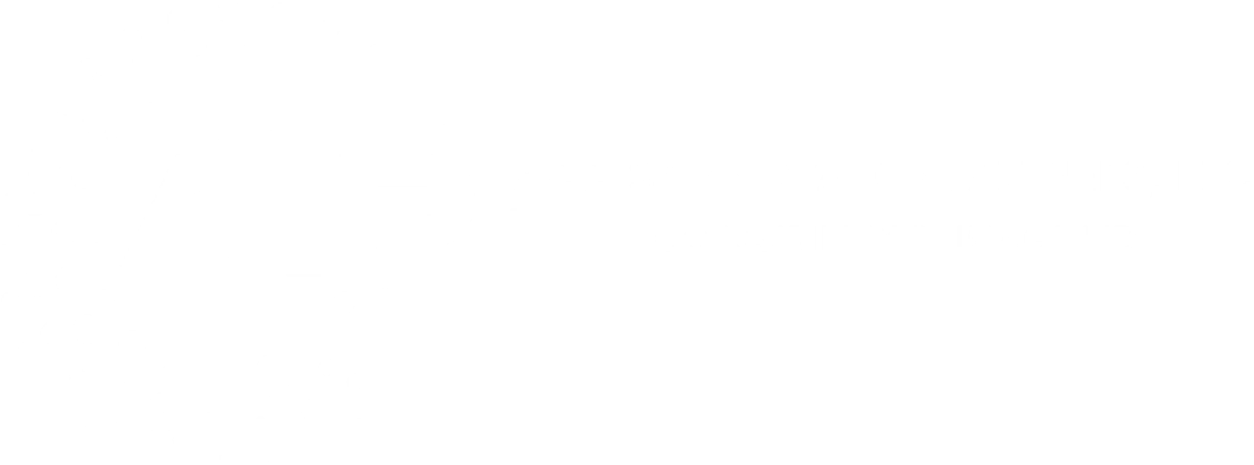 ADA Compliance Consulting & Accessibility Services