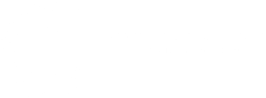 Access Innovation Partners
