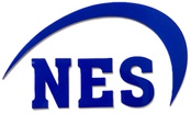 NES Consultant