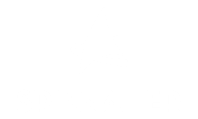 Spinnaker
