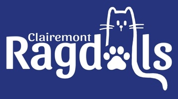 Clairemont Ragdolls
