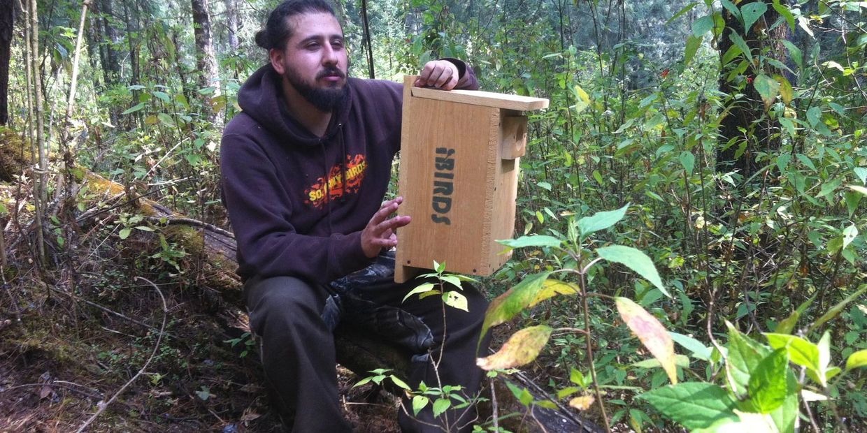 JP Medina, being interviewed by local TV Network TV Azteca. Explaining the importance of Nest boxes.