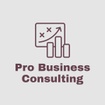 Pro Business Consulting