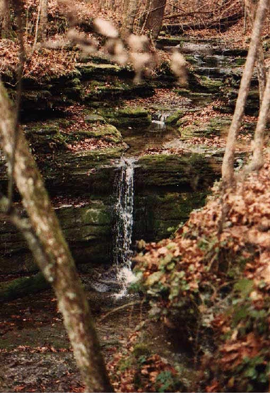 Waterfall (photo by G. Roddy)