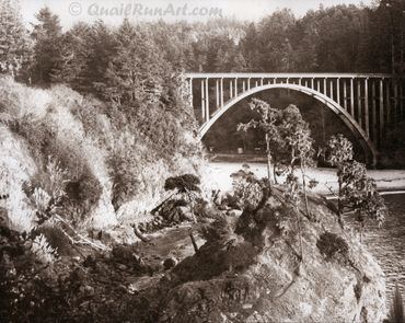 "Russian Gulch Bridge", Russian Gulch State Park, CA, Platinum Print 2013