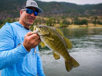 Largemouth Bass, Western Montana Fish Species