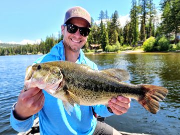 Montana Largemouth Bass