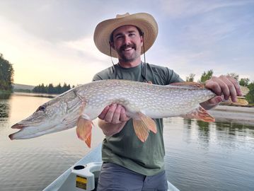 Montana Pike on the Fly