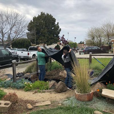 Pond repair specialists reinstall a pond liner on a pondless waterfall.