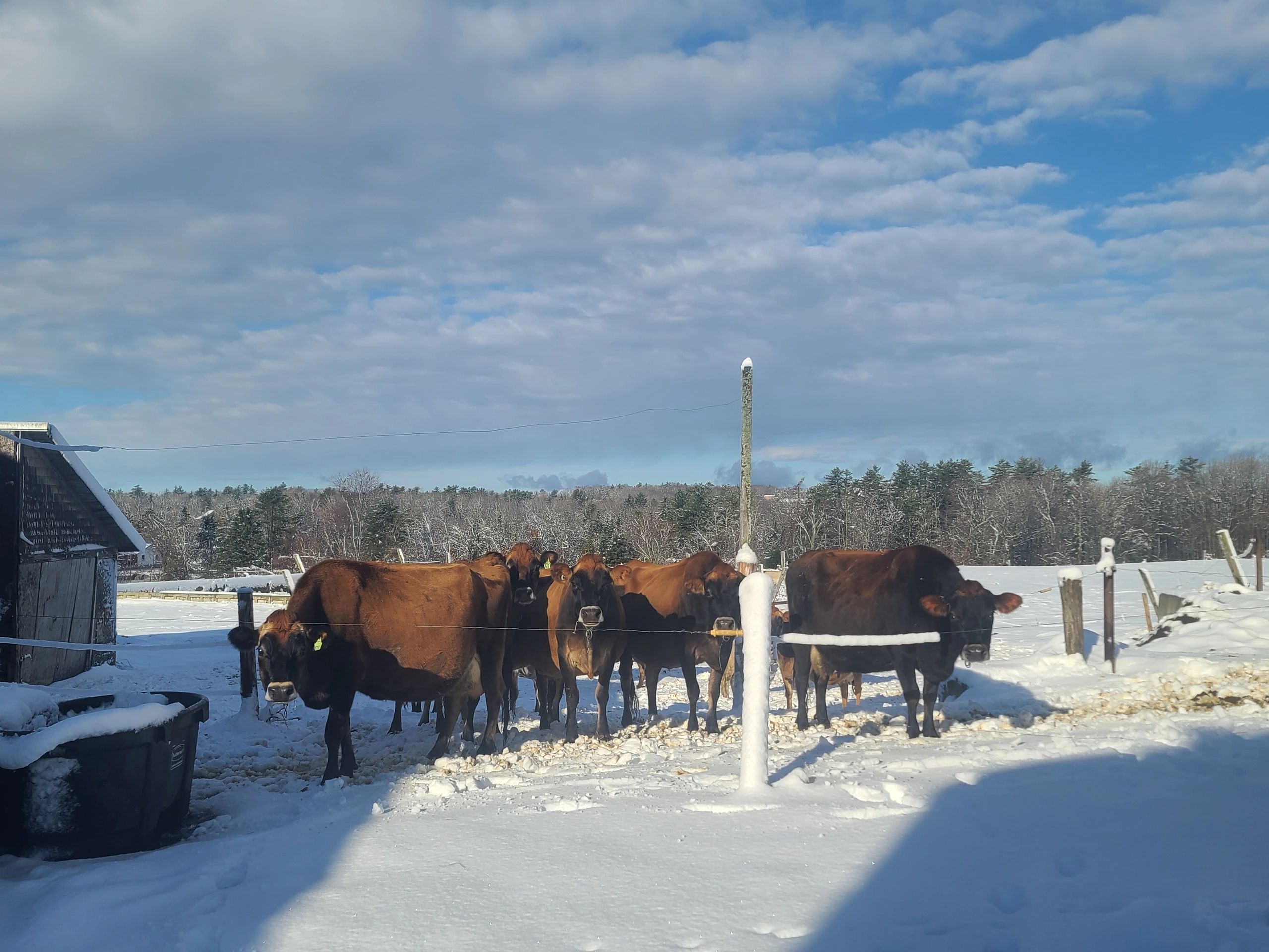 Creamy Acres Creamery photo 3