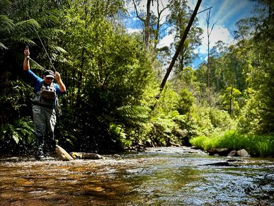 Fly Fishing for Trout