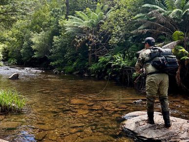 Fly Fishing Guide Mansfield