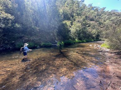 Fly Fishing Howqua River
