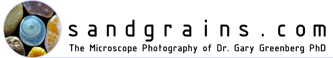 sandgrains.com