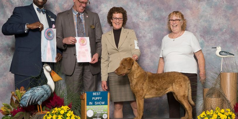 Tabitha also went BEST PUPPY IN SHOW Iin her first show at 6mo old . Noevember 2022 at Salisbury MD