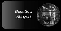 adshayari #shayari #hindishayari #shayri #mohabbat #hindiquotes #love #shayarilover #loveshayari #ur