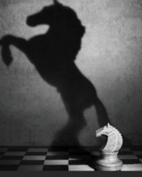 ~Energía~Disciplina 
~Frecuencia~Tiempo 
~Vibración~Paciencia 