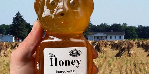 Fresh local honey from our bee hives in Wisconsin 