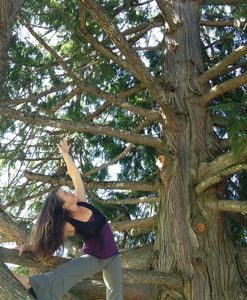 The Eureka Retreat Center offers dancing indoors and under this Tree.