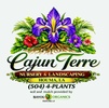 Cajun Terre Nursery and Landscaping LLC