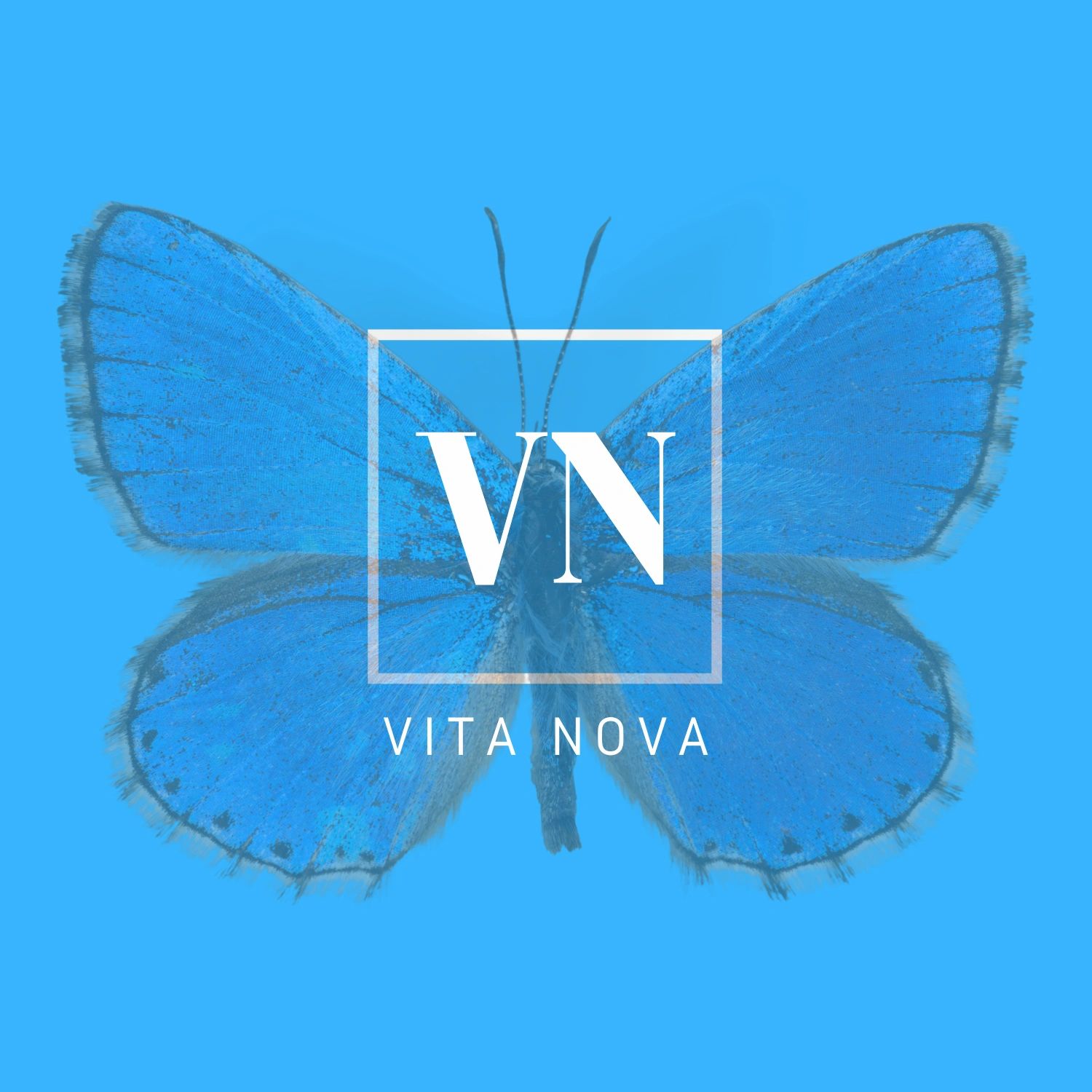 Vita Nova Events