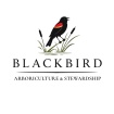 Blackbird Arboriculture & Stewardship