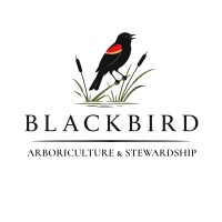 Blackbird Arboriculture & Stewardship