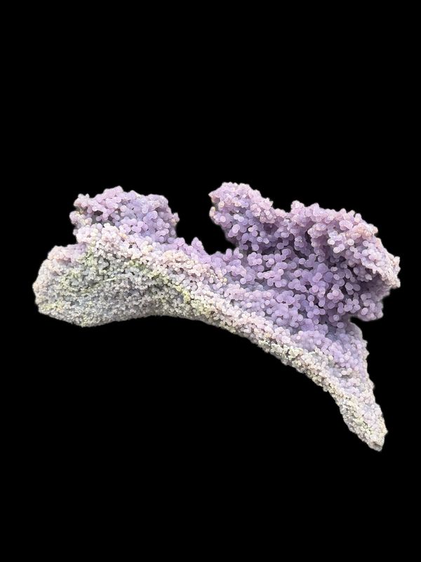Close-up of a purple and white grape agate mineral formation on black background.