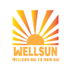 Wellsun Food And Beverages Pvt Ltd 