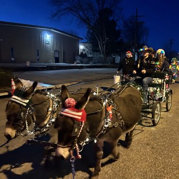Two donkeys pulling a decorated carriage with people at night.