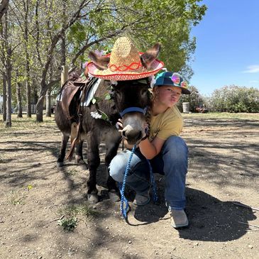 A person kneeling and hugging a donkey wearing a sombrero outdoors.