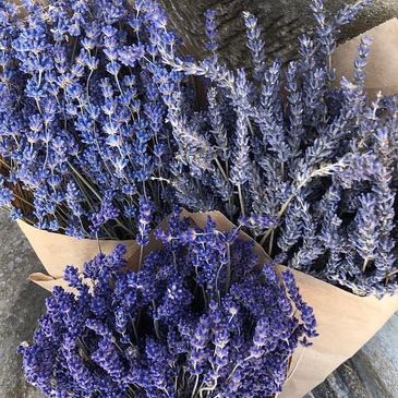 Three shades of blue bunches of dried lavender 