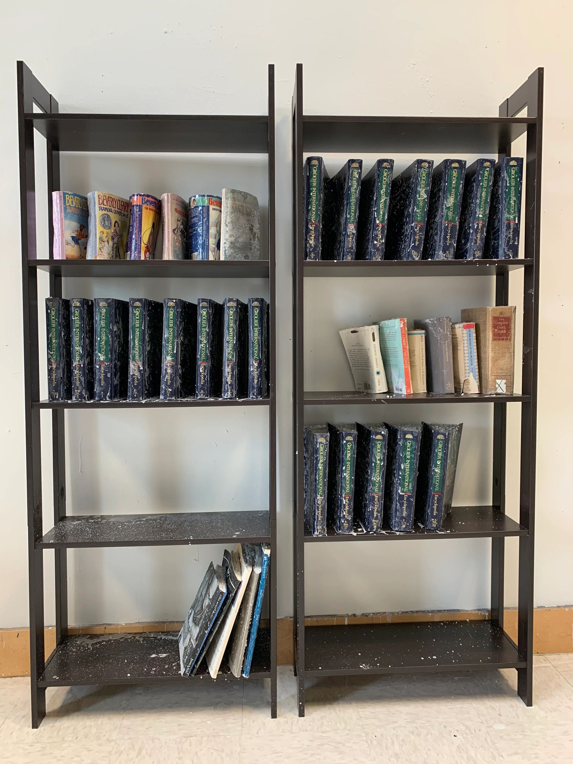 Books on Bookshelves